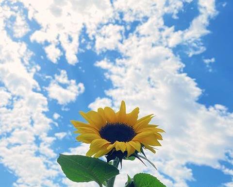 عکس آسمان کیوت