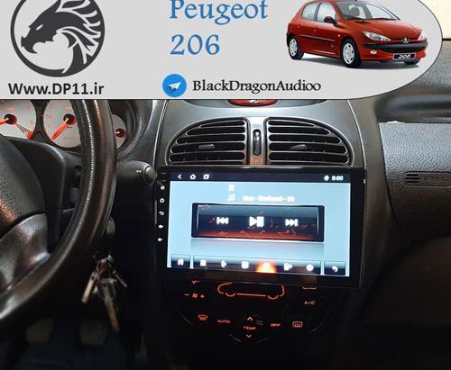 عکس ضبط تصویری فابریک 206