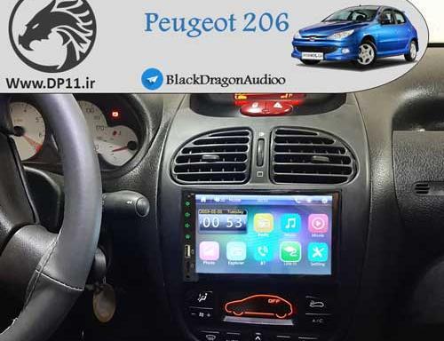 عکس ضبط تصویری فابریک 206