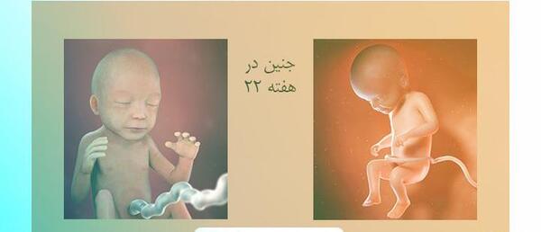 عکس نوزاد حاملگی