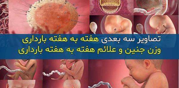 عکس نوزاد حاملگی