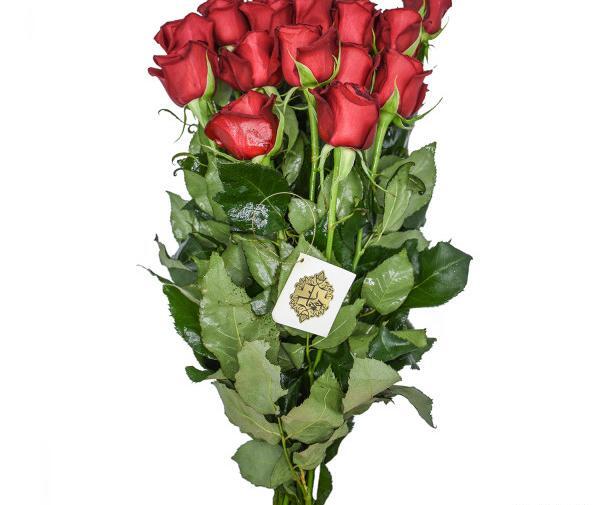 عکس دسته گل طبیعی ساده