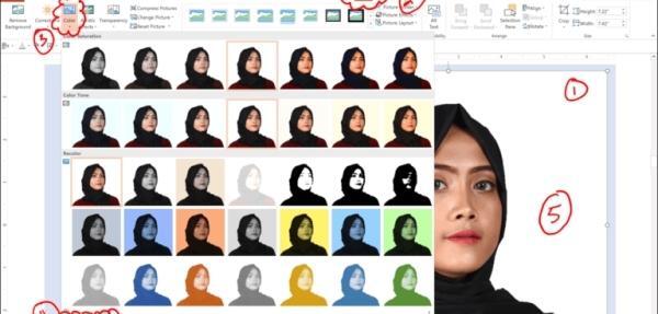 عکس ساده رنگی برای پاورپوینت