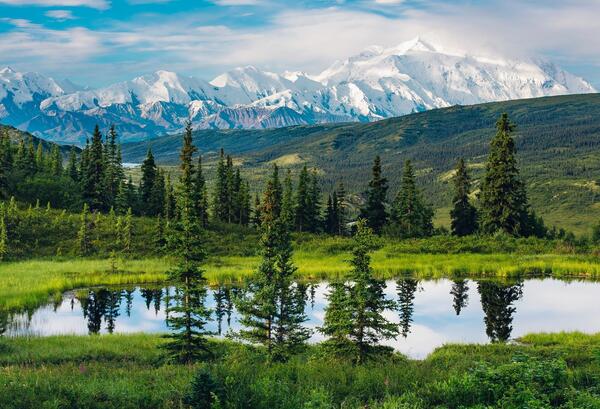 عکس طبیعت با کیفیت