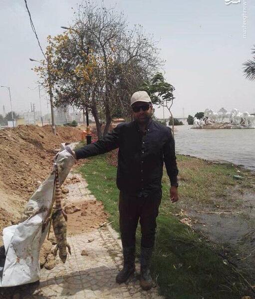 عکس سوسمار