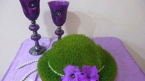 عکس سبزه عید با خاکشیر