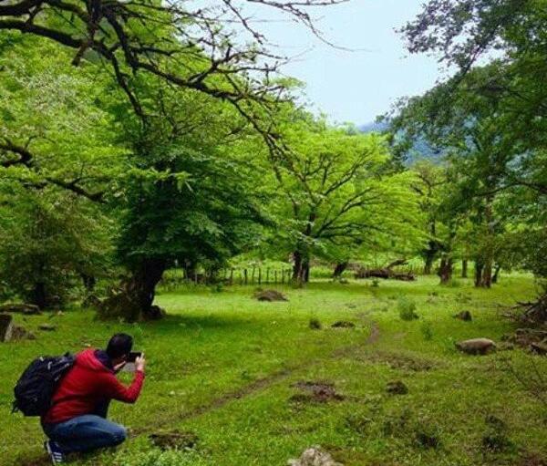 عکس تصاویر زیبای طبیعت آمل