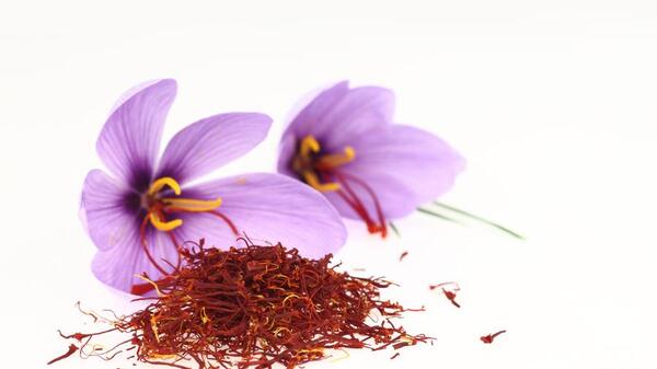 عکس وکتور زعفران
