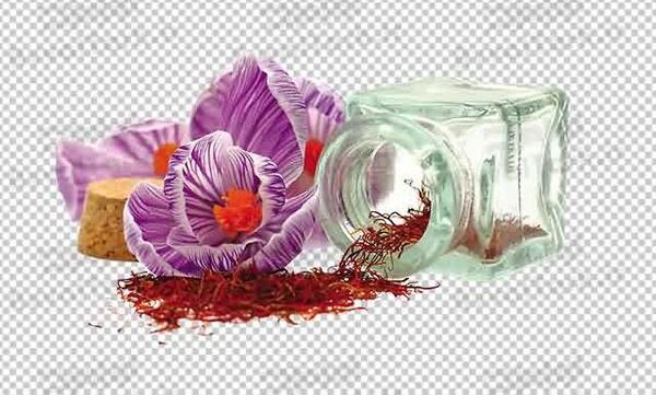 عکس وکتور زعفران