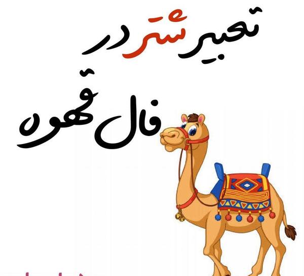 عکس شتر فال قهوه