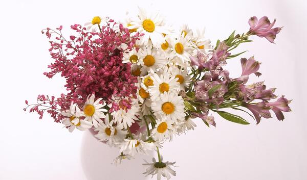 عکس گل گلدان