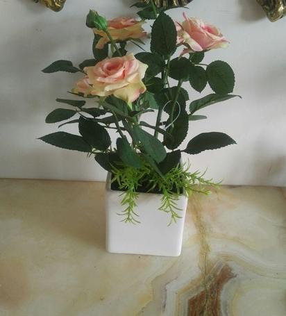 عکس گل گلدان