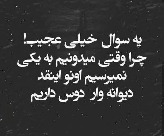 عکس نوشته کردم از عقل سوالی