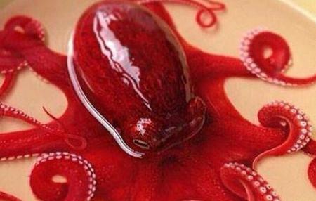عکس قلب هشت پا