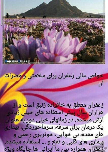 عکس زعفران نوین