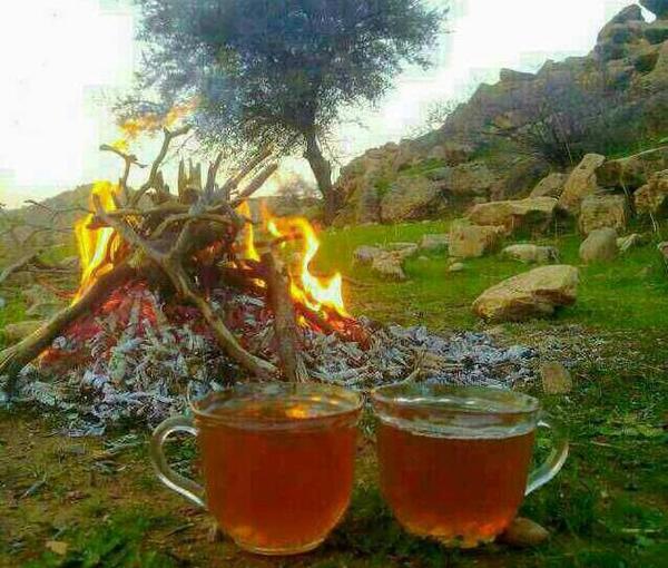 عکس چای دونفره در طبیعت