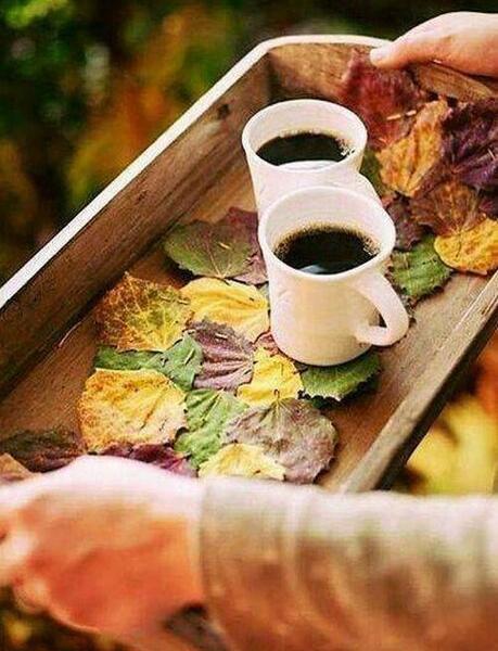 عکس چای دونفره در طبیعت