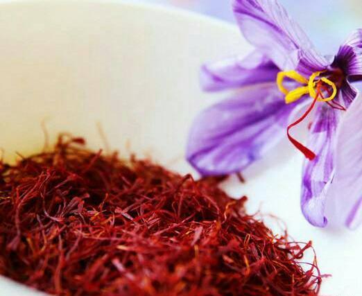عکس زعفران در خراسان