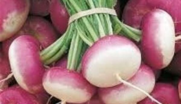 عکس شلغم با ریشه