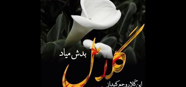عکس مهراب جمع