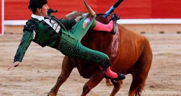 عکس حوادث گاوبازی