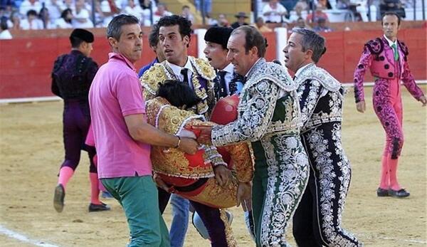 عکس حوادث گاوبازی