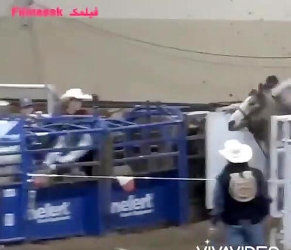 عکس حوادث گاوبازی