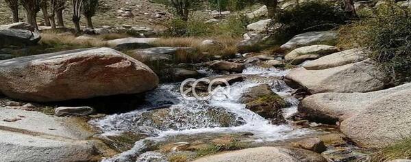 عکس جاهای دیدنی طزرجان