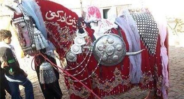 عکس اسب امام حسین