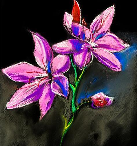 عکس زعفران نقاشی