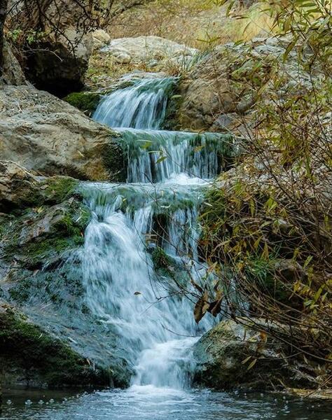عکس زیبای طبیعت سرسبز
