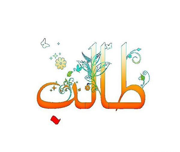 عکس نوشته طالب آملی