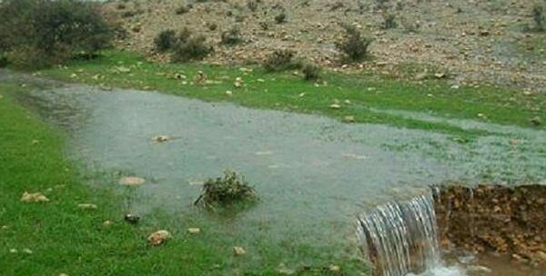 عکس شهر جم