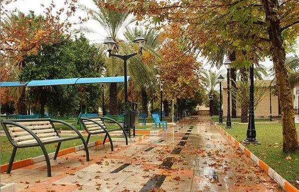 عکس شهر جم