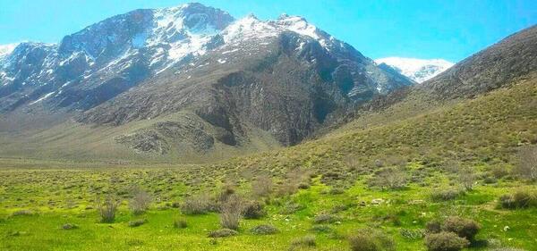 عکس از طبیعت فریدن