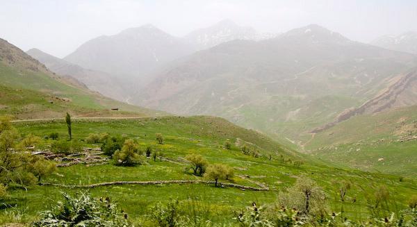 عکس از طبیعت فریدن