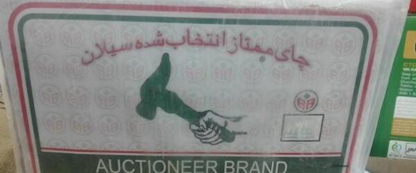 عکس چای چکش سبز اصل