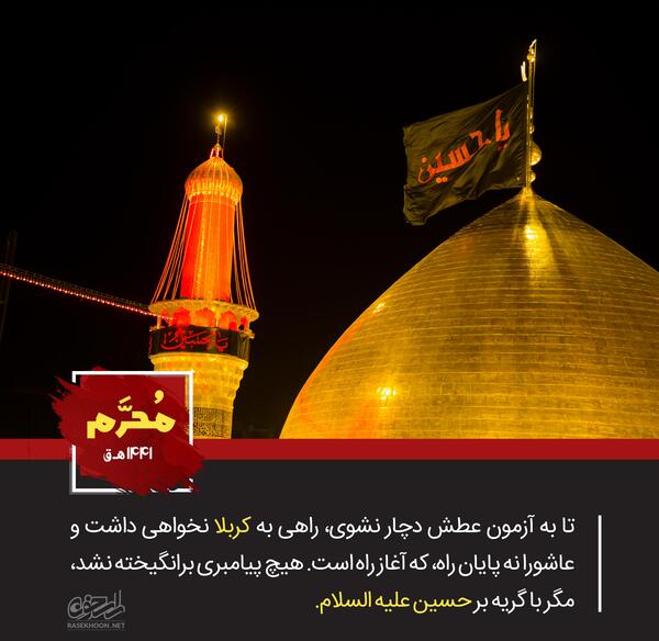 عکس شب یازدهم محرم