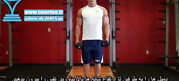 عکس حرکت صلیب دمبل