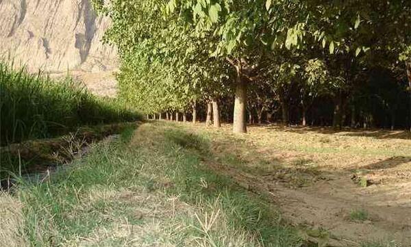 عکس جاهای دیدنی حصارک کرج