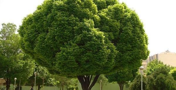 عکس جاهای دیدنی حصارک کرج