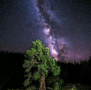 عکس طبیعت زیبا در شب