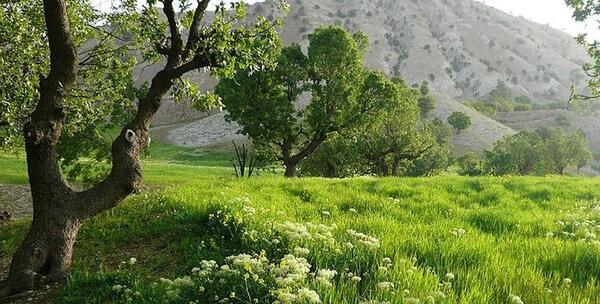 عکس طبیعت زیبای ایلام