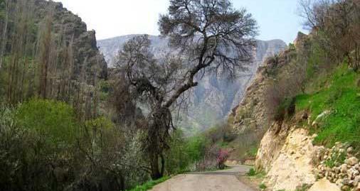 عکس طبیعت زیبای ایلام
