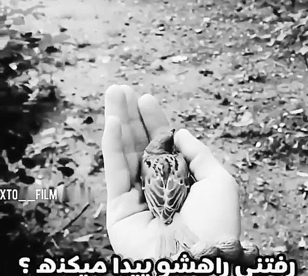 عکس وضعیت واتساپ وفاداری