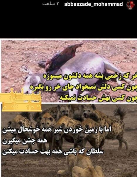 عکس شیر با پرسپولیس