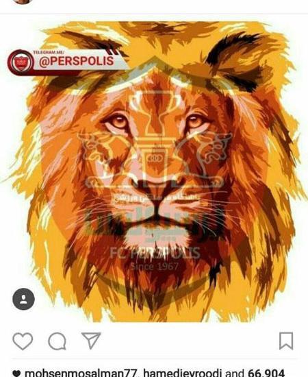 عکس شیر با پرسپولیس