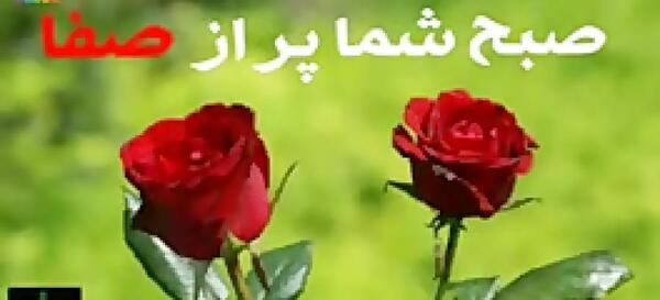 عکس وضعیت واتساپ سلام صبح بخیر