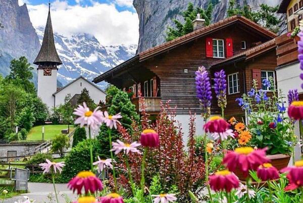 عکس صبح بخیر عاشقانه با گل