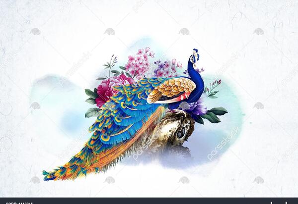 عکسهای فانتزی طاووس